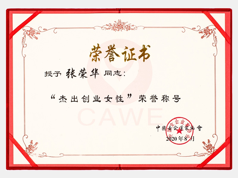 “杰出創(chuàng)業(yè)女性”榮譽稱號